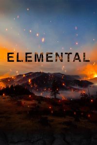 Poster for the movie "Elemental"