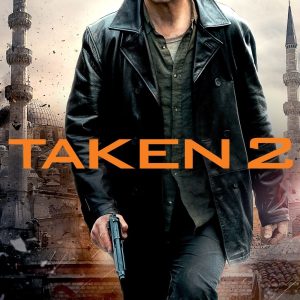 Poster for the movie "Taken 2"